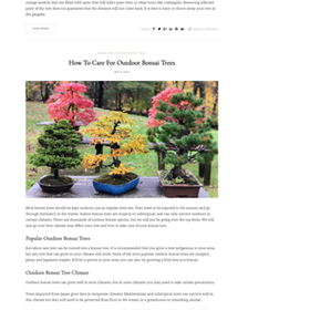 Bonsai Tree Service: Bonsai Tree Service